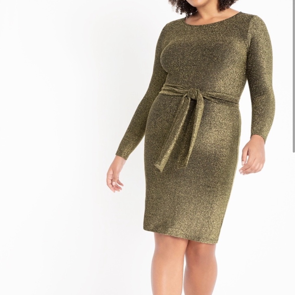 ELOQUII NWT 
Lurex Belted Dress IN SIZE 22 & 24